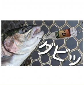 <img class='new_mark_img1' src='https://img.shop-pro.jp/img/new/icons1.gif' style='border:none;display:inline;margin:0px;padding:0px;width:auto;' />ץ塼 zatta The Bottle