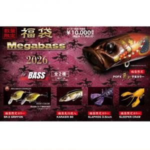 <img class='new_mark_img1' src='https://img.shop-pro.jp/img/new/icons1.gif' style='border:none;display:inline;margin:0px;padding:0px;width:auto;' />�ᥬ�Х� 2026ǯʡ��