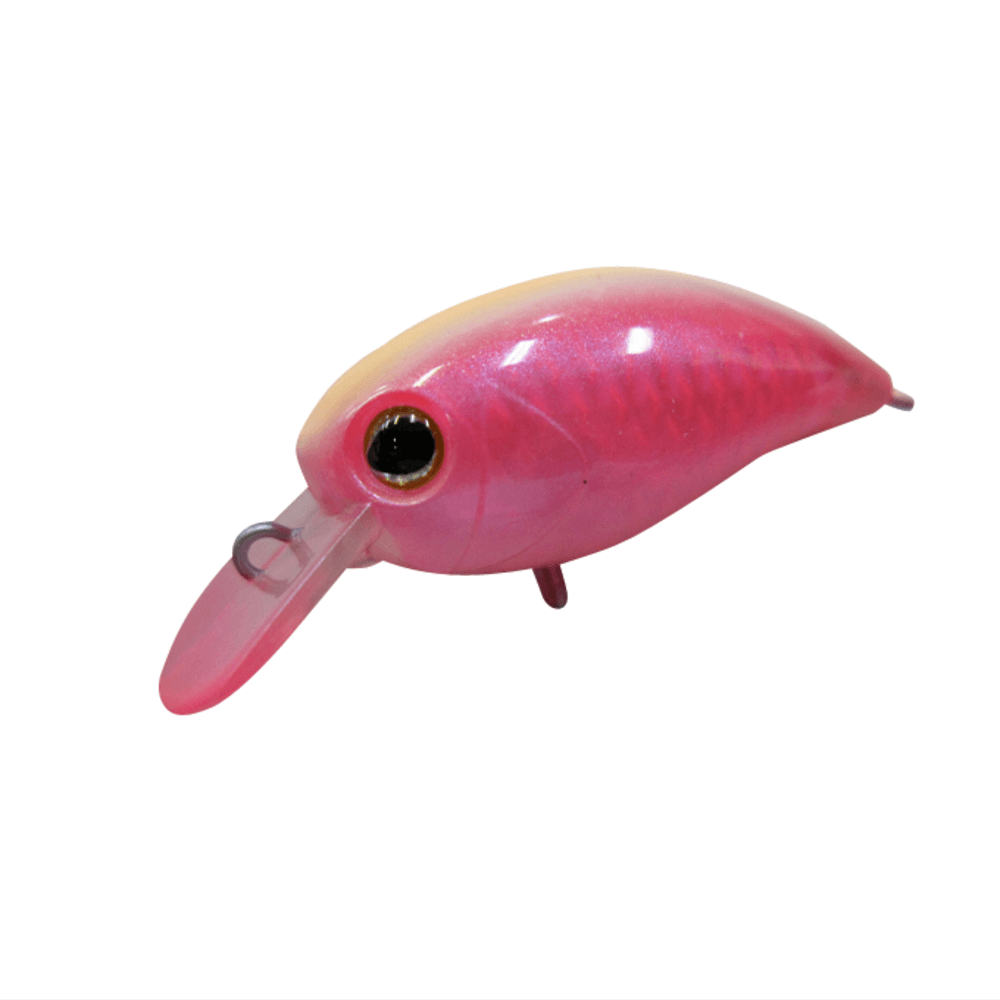 ティモン パニクラsr ティモン パニクラsr