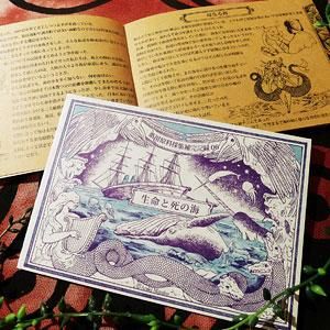 薬用原料採集補完記録 第6集 生命と死の海 ファンタジー雑貨 魔法と神話 天体 妖精 アリス アランデル ショッピング