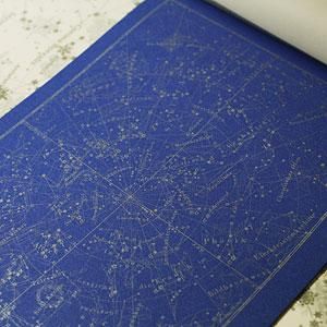 遊星商會 星座図レターパッド 青銀 ファンタジー雑貨 魔法と神話 天体 妖精 アリス アランデル ショッピング 遊星商會 星座図レターパッド 青銀 ファンタジー雑貨 魔法と神話 天体 妖精 アリス アランデル ショッピング