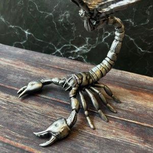 ザンビア産　サソリカミキリ　47mm ダイオウサソリ 飼育 ザンビア産 サソリカミキリ 47mm サソリ
