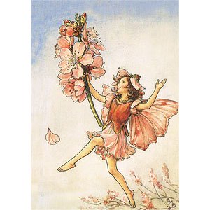 フラワーフェアリー ポストカード【Almond Blossom】 - ファンタジー 