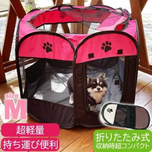 トコちゃんベルトの青葉 │ プレ・産後ママ向け情報