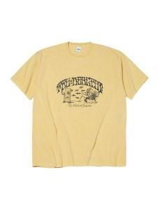 <img class='new_mark_img1' src='https://img.shop-pro.jp/img/new/icons1.gif' style='border:none;display:inline;margin:0px;padding:0px;width:auto;' /> RADIALL   WILL BE BACK - CREW NECK T-SHIRT S/S ( ԥȲù S/S ץ T )  Pinacolada