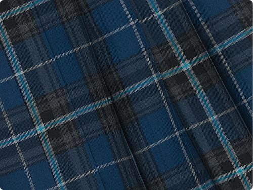 Charpentier de Vaisseau O'neil ץ꡼ĥ BLUE x BLACK CHECK