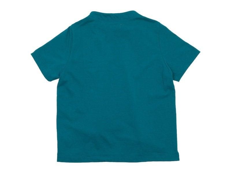 nisica 󥸡ͥååȥ Ⱦµ BLUE GREEN