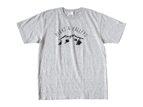 ENDS and MEANS Peaks & Valleys Tee GRAY