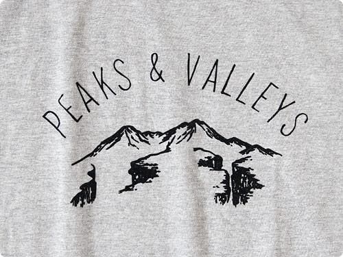 ENDS and MEANS Peaks & Valleys Tee GRAY