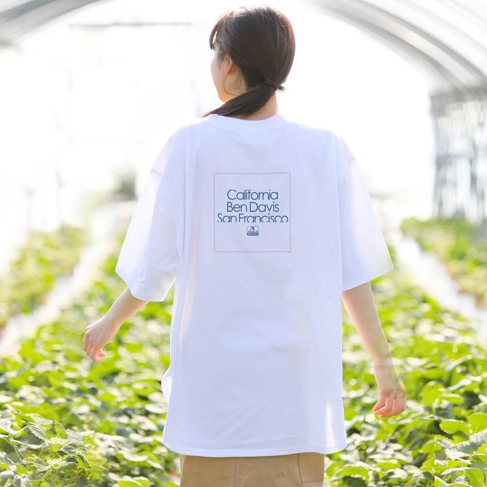 Ben Davis ベンデイビス Ladies Organic Cotton Tee レディースオーガニックコットンtシャツ 抗菌防臭 Ben Davis ベンデイビス Ladies Organic Cotton Tee レディースオーガニックコットンtシャツ 抗菌防臭